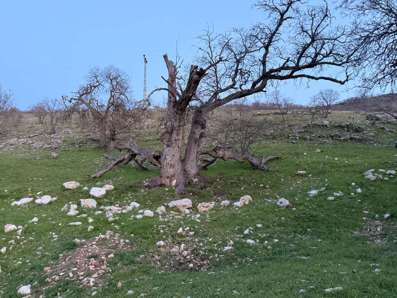 Gülistan Doku soruşturmasında 40 kilometrelik alanda mezar aranıyor 3